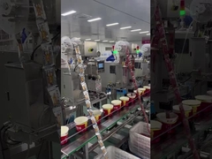 Linha de transporte de alimentos para macarrão instantâneo Yang Zhang Gui