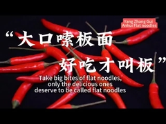 Saboroso de carne de vaca guisada pouco picante instantâneo macarrão plano embebido por 6 minutos