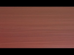 Vermicelli e macarrão instantâneo com sabor de tomate e carne de vaca aceitável